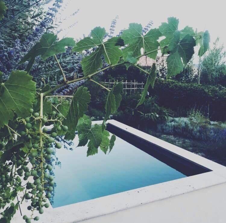 Domaine Fontaine Visan Exterior foto