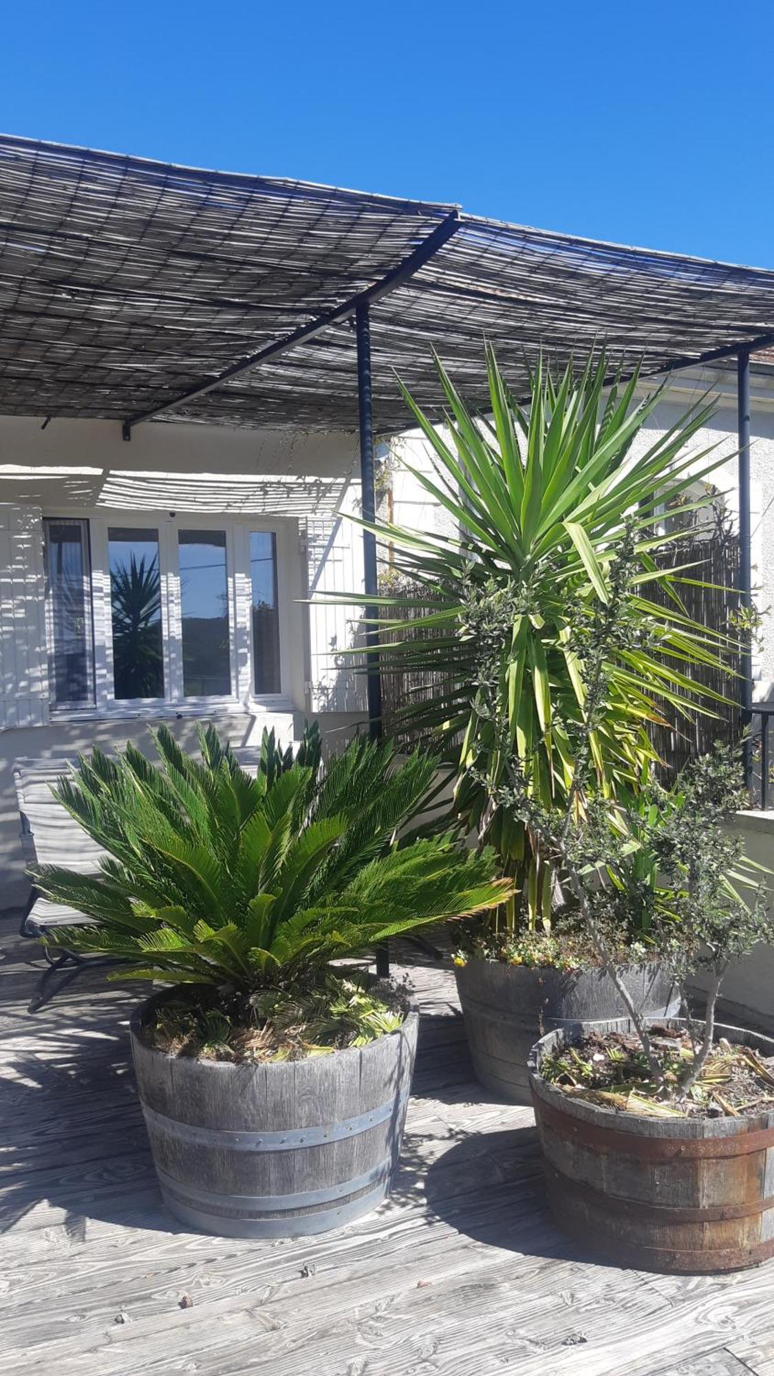 Domaine Fontaine Visan Exterior foto